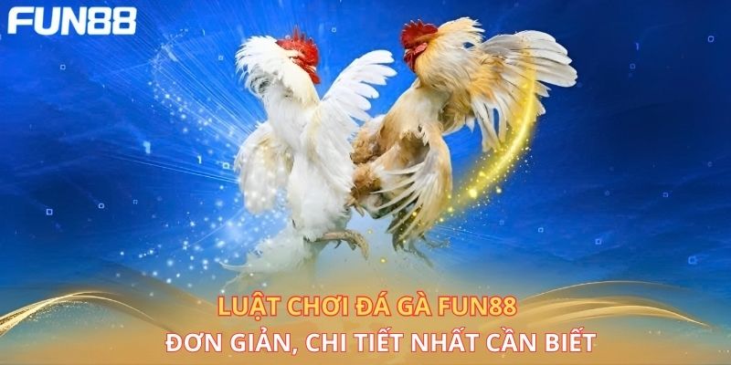 Luật chơi đá gà Fun88 đơn giản, chi tiết 