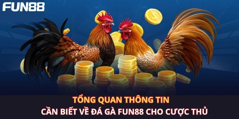 Tổng quan thông tin cần biết về đá gà Fun88 